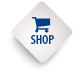 Lohmann Marketing Shop: Von Domain registrieren bis zur fertigen Webseite, Landingpage oder Shop, mieten oder kaufen plus SEO Optimierung, Metatags, Sitemap, alles dabei.